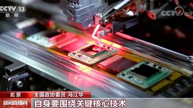 定制化与标准化：教育机构数字化解决方案的差异化选择**
